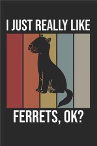 I Just Really Like Ferrets, OK?