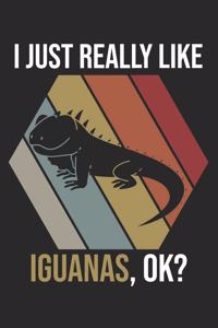 I Just Really Like Iguanas, OK?