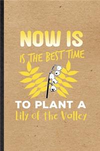 Now Is the Best Time to Plant a Lily of the Valley