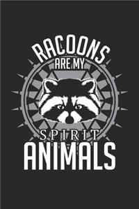 Racoons are my spirit animals