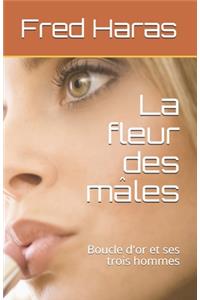 fleur des mâles: Boucle d'or et ses trois hommes
