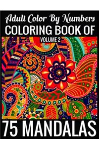 Adult Color By Numbers Coloring Book of Mandalas Volume 2