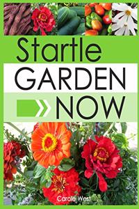 Startle Garden Now
