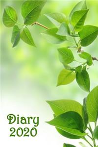 Diary