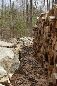 2020 Weekly Planner Late Fall Woodpile Stone Wall Forest Photo 134 Pages