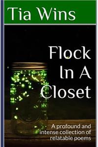 Flock In A Closet