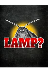 Lamp?