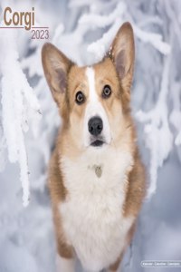 Corgi 2023 Wall Calendar