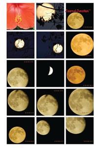 Journal Junction - Stalking the Moon