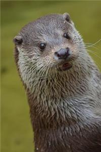 An Otter Standing Up Journal