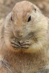 Prairie Dog Notebook