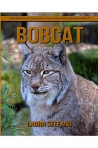 Bobcat