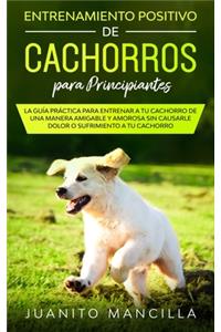Entrenamiento Positivo De Cachorros Para Principiantes
