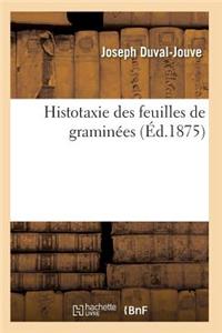 Histotaxie Des Feuilles de Graminées