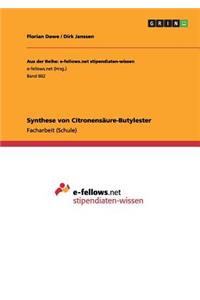Synthese von Citronensäure-Butylester