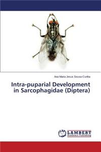 Intra-puparial Development in Sarcophagidae (Diptera)