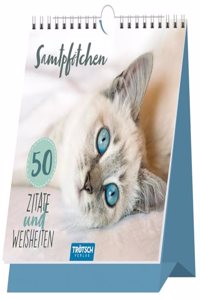 Trotsch Tischaufsteller Spruche und Zitate zum Aufstellen Katzen: immerwahrender Tischaufsteller mit Spiralbindung