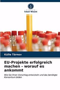 EU-Projekte erfolgreich machen - worauf es ankommt