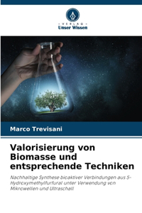 Valorisierung von Biomasse und entsprechende Techniken