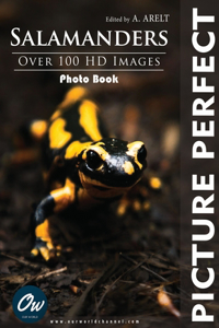 Salamander