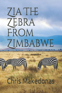 Zia The Zebra From Zimbabwe