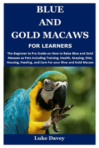 Blue and Gold Macaws for Learners