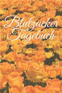 Blutzucker Tagebuch