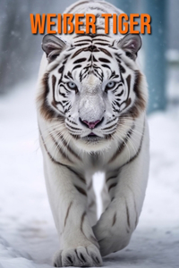 Weißer Tiger
