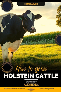 Holstein Cattle