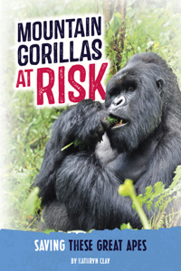 Mountain Gorillas at Risk