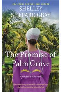 The Promise of Palm Grove
