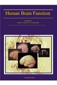 Human Brain Function