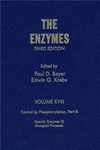The Enzymes