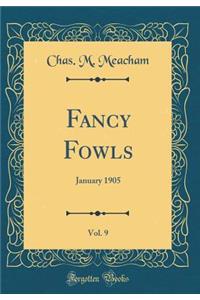 Fancy Fowls, Vol. 9: January 1905 (Classic Reprint): January 1905 (Classic Reprint)