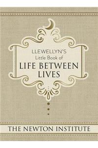 Llewellyn's Little Book of Life Between Lives