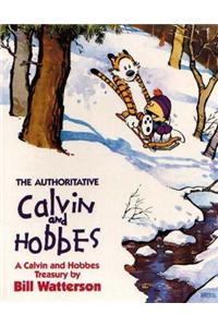Authoritative Calvin And Hobbes