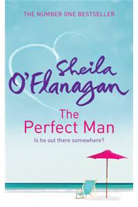 The Perfect Man