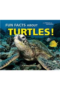 Fun Facts about Turtles!