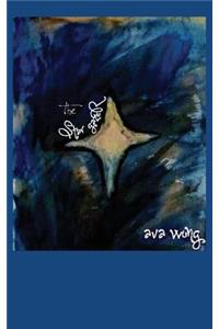 The Star Gazer
