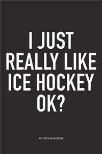 I Just Really Like Ice Hockey Ok?