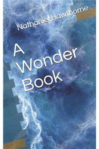 A Wonder Book