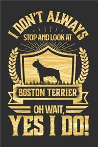 I Don't Always Stop and Look At Boston Terrier OH Wait, Yes I Do!