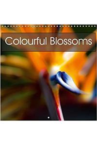 Colourful Blossoms 2018