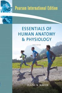 Essentials of Human Anatomy and Physiology