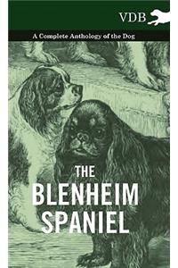 The Blenheim Spaniel - A Complete Anthology of the Dog -