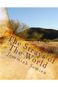 The Strays of The World