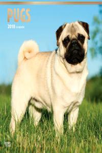 Pugs 2018 Wall Calendar