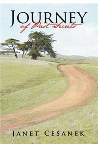 Journey of Past Secrets