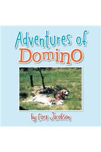 Adventures of Domino