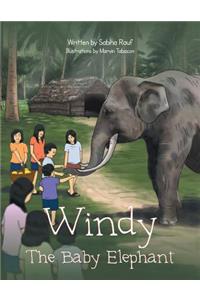 Windy the Baby Elephant